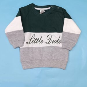 Baby Boys Full Sleeve Printed Sweatshirt