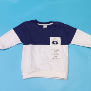 Baby Boys Full Sleeve Printed Sweatshirt